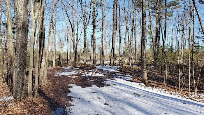 Clear Lake Campground 6