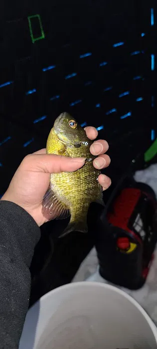 Carrol Lake Campground 1