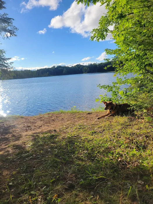 Carrol Lake Campground 2