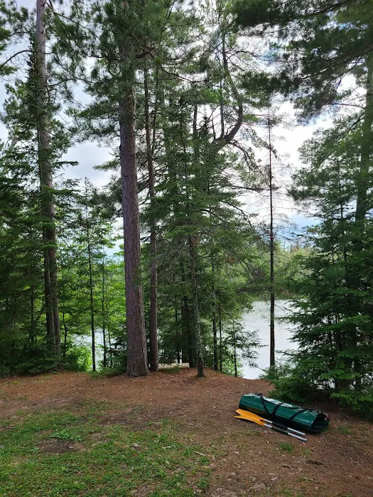 Carrol Lake Campground 8