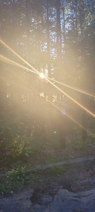 Carrol Lake Campground 5