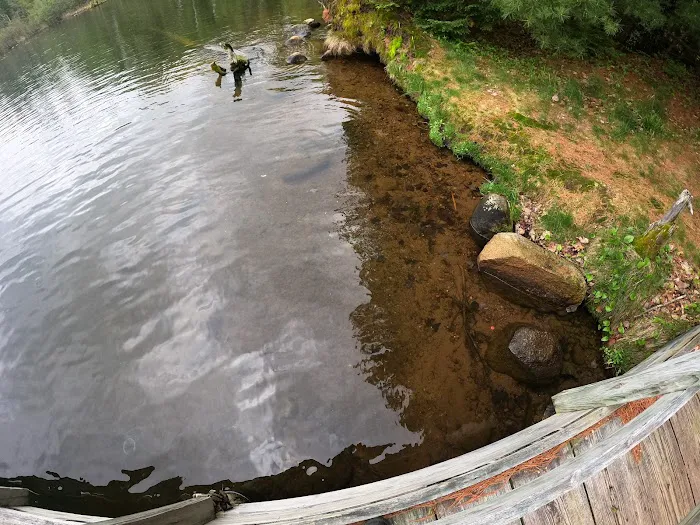 Carrol Lake Campground 9