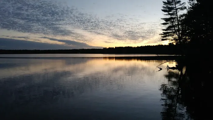 Lofty Pines RV Park 3