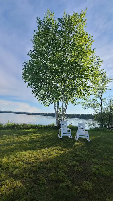 Lofty Pines RV Park 5