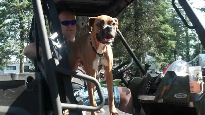 Arbor Vitae Campground 9