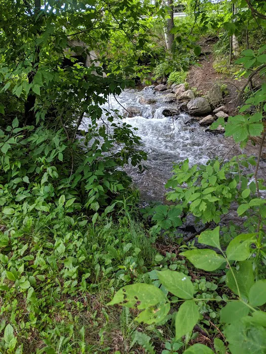 Arbor Vitae Campground 7