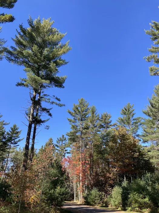 Torch Lake Campground & RV Park 6