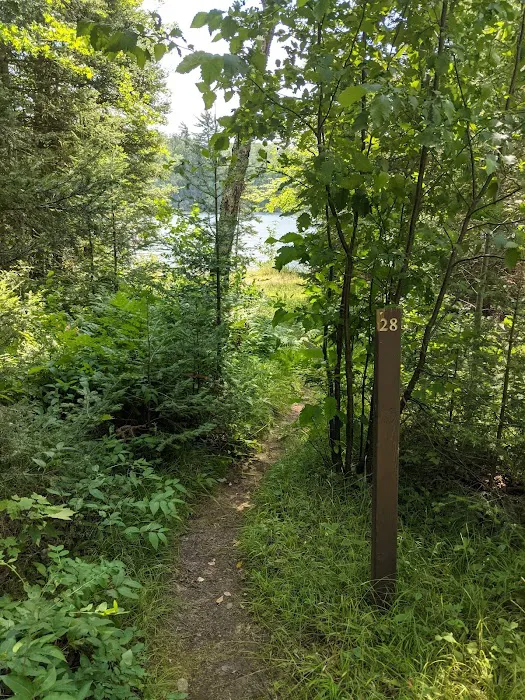 East Star Lake Campground 10
