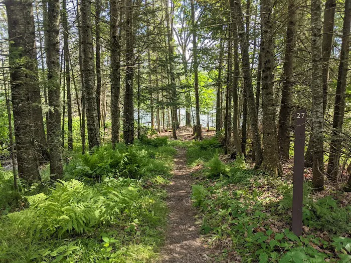 East Star Lake Campground 5