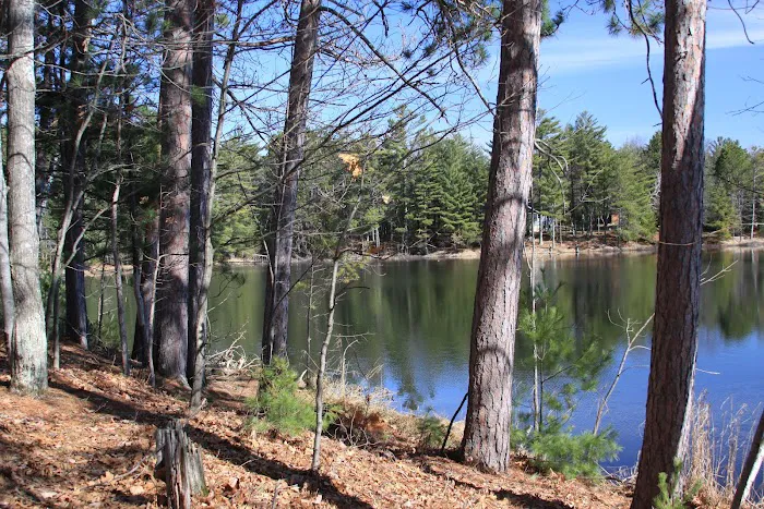 Patricia Lake Campgrounds, Inc 10