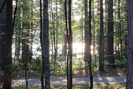 Camp Seven Lake Campground