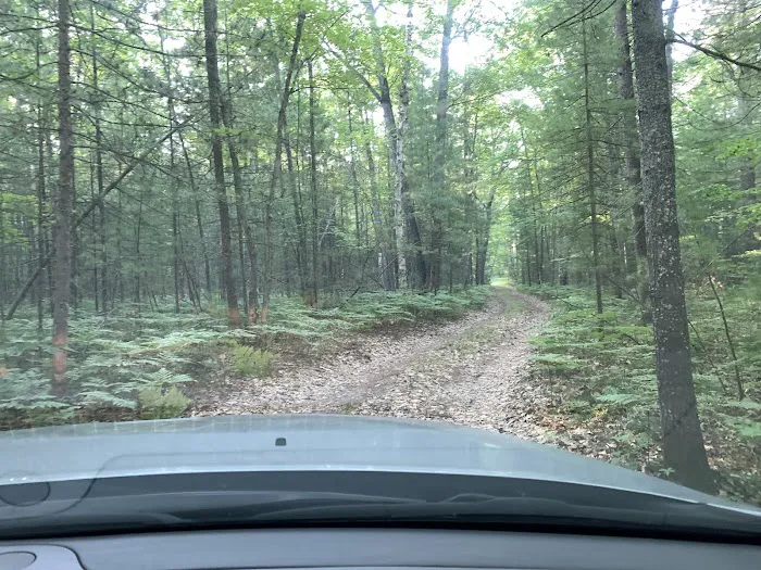 Gooseneck Lake Campsite #4 2