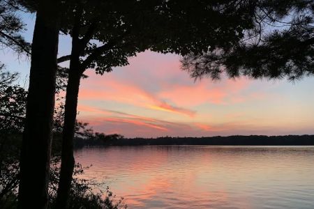 Gooseneck Lake Campsite #4