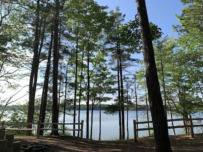 Gooseneck Lake Campsite #4 3