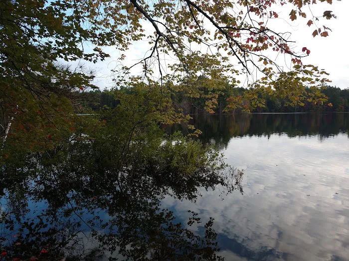 Swan Lake Campsite 1 and Boat Ramp 8