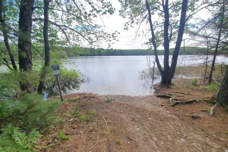 Swan Lake Campsite 1 and Boat Ramp