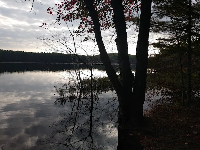 Swan Lake Campsite 1 and Boat Ramp 2