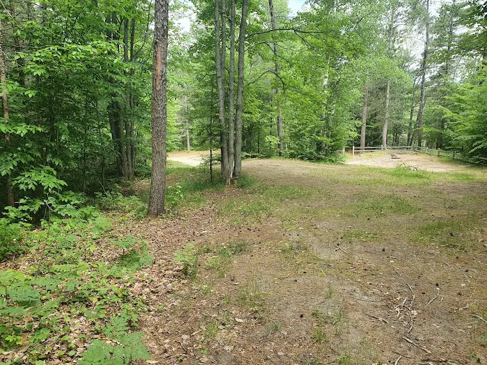 Swan Lake Campsite 1 and Boat Ramp 9