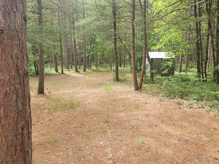 Swan Lake Campsites 2-4 4