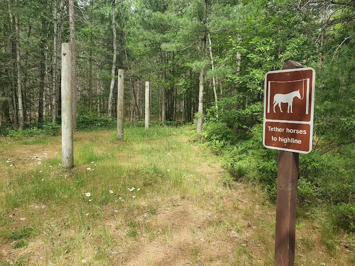 Swan Lake Campsites 2-4 2
