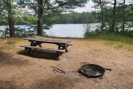 Swan Lake Campsites 2-4