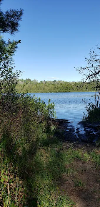 Bear Lake Dispersed Campsite 1
