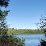 Bear Lake Dispersed Campsite