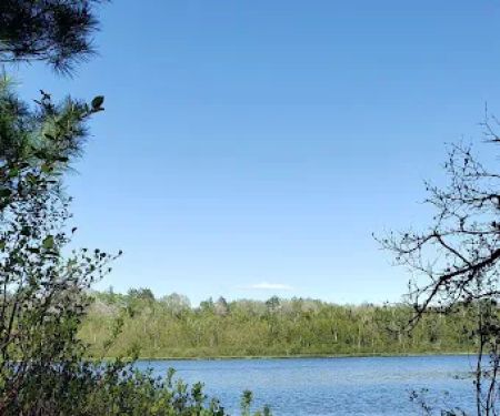 Bear Lake Dispersed Campsite