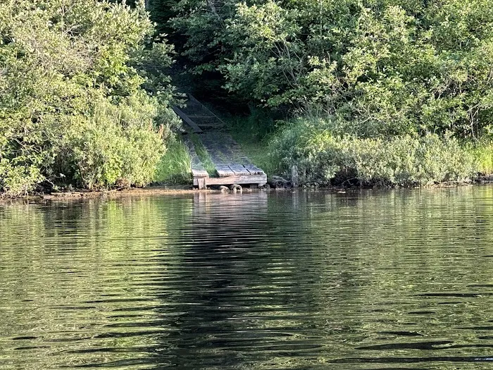 Bear Lake Dispersed Campsite 5