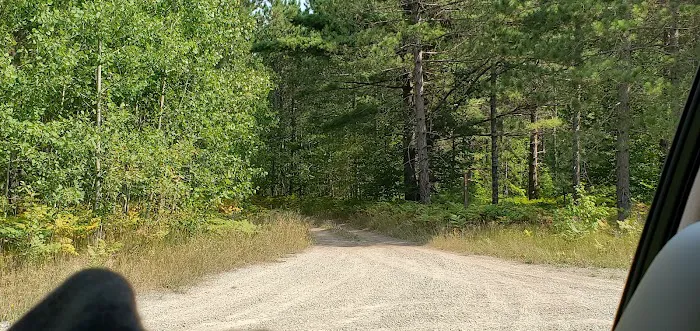 Bear Lake Dispersed Campsite 9