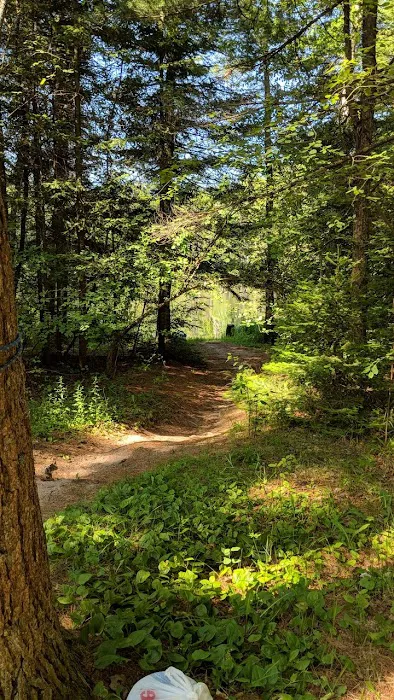Widewaters Campground 4