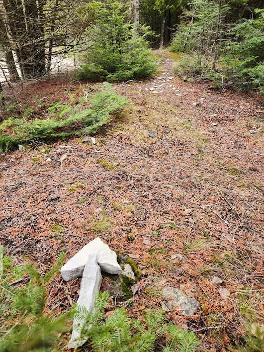 Portage Bay State Campground Picture 9