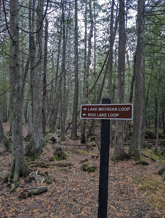 Portage Bay State Campground Picture 6