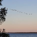 Indian Lake RV Resort & Campground