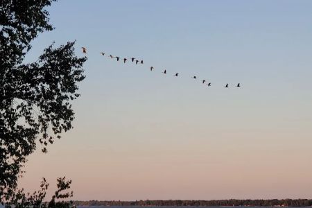 Indian Lake RV Resort & Campground
