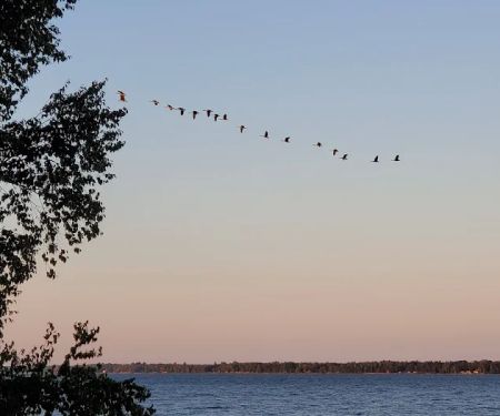 Indian Lake RV Resort & Campground
