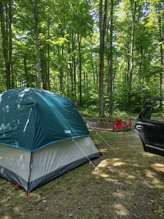 West Shore Campground - Indian Lake State Park 2