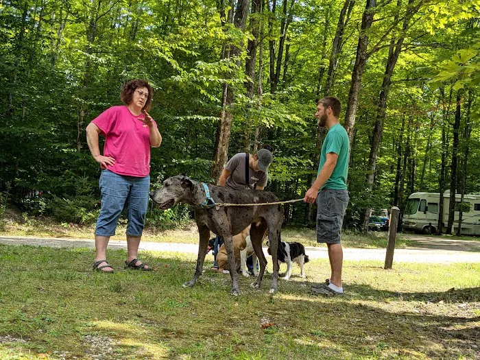 West Shore Campground - Indian Lake State Park 7