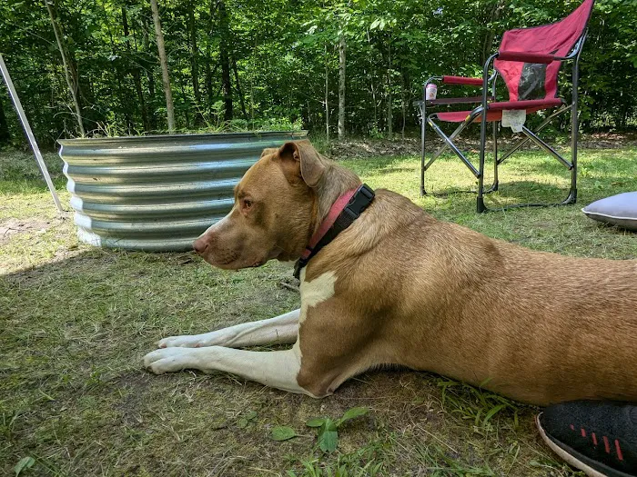 West Shore Campground - Indian Lake State Park 10