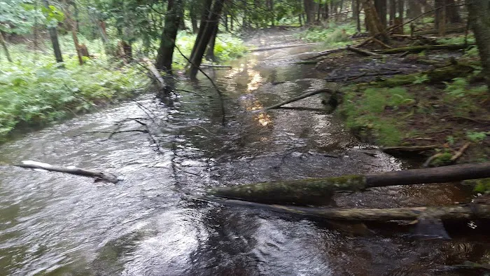 Indian Lake West Shore Campground 10