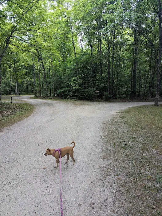 Indian Lake West Shore Campground 7