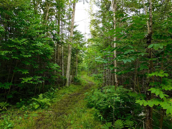 Indian Lake Campground 8
