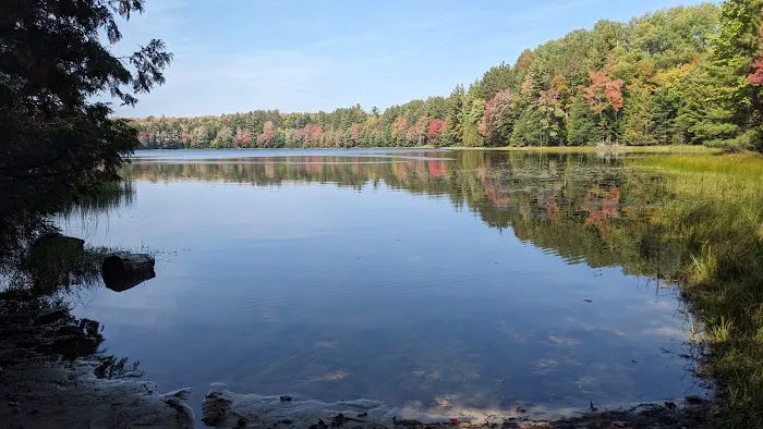 Lake Nineteen Dispersed Campsite 7