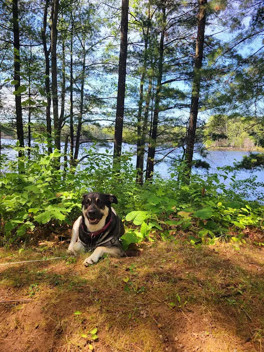Broken Bow Campground 6