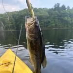 Broken Bow Campground