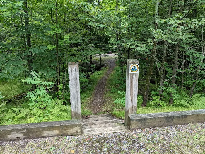 Sailor Lake Campground 10