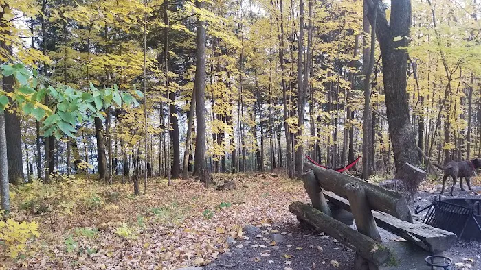 Lake of the Pines State Campground 4