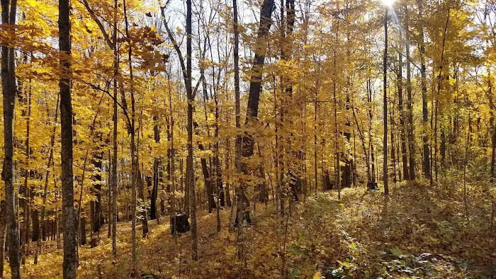 Lake of the Pines State Campground 8