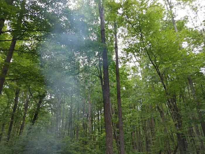 Lake of the Pines State Campground 10