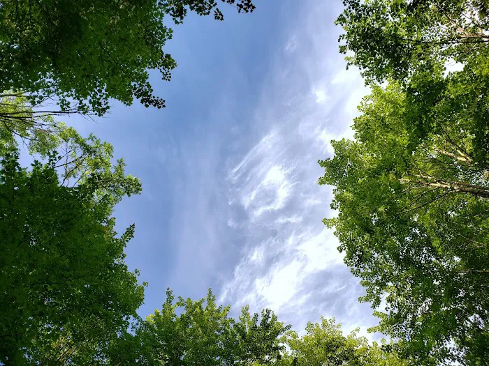 Connors Lake State Campground 9